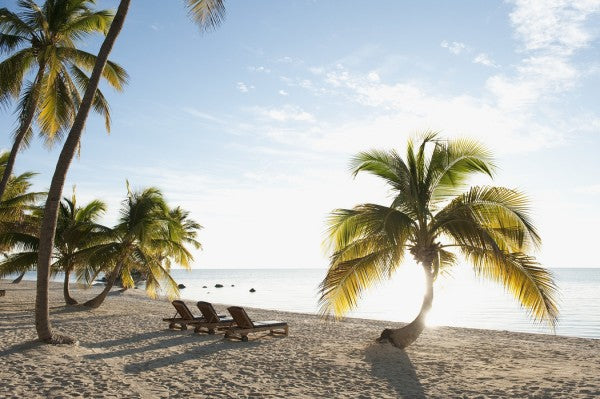 PHOTOWALL / Beach in Islamorada in Florida Keys, USA (e40755)