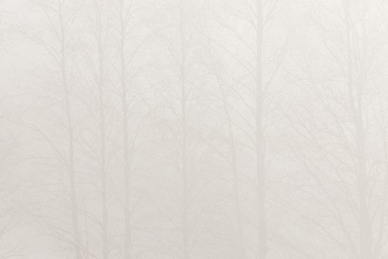 PHOTOWALL / Lights (e30769)