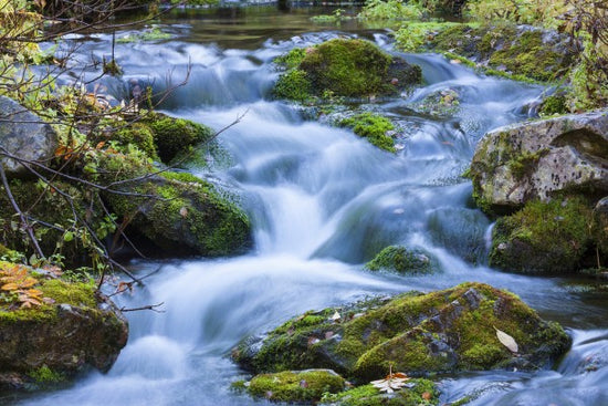 PHOTOWALL / Little Stream (e30773)
