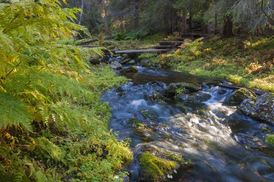 PHOTOWALL / Nationalpark Finland (e30779)