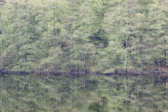 PHOTOWALL / Mirroring (e41155)