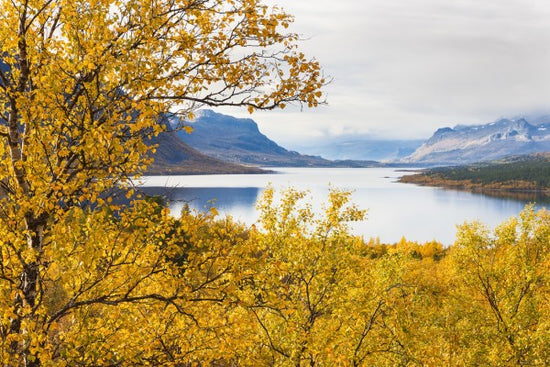 PHOTOWALL / Saltoluokta Landscape (e41164)