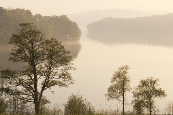 PHOTOWALL / Swedish Misty Lake (e41168)
