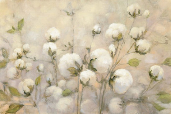 PHOTOWALL / Cotton Field (e50052)