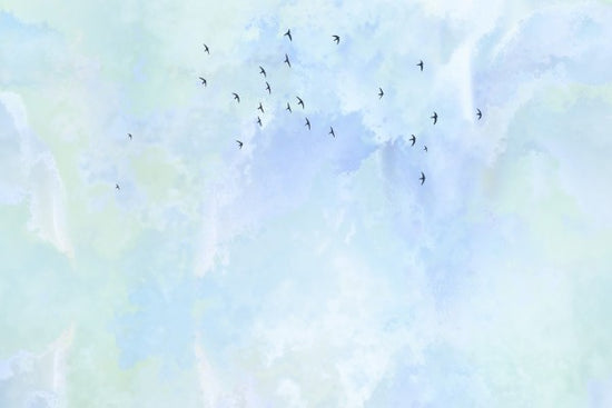 PHOTOWALL / Flying High Birds (e50285)