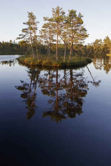 PHOTOWALL / Knuthojdsmossen, Sweden (e50306)