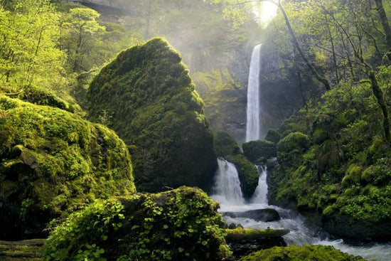 PHOTOWALL / Sunlight over Elowah Falls, Columbia River Gorge (e31132)