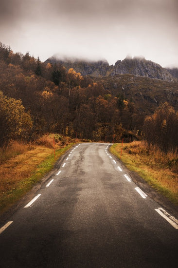PHOTOWALL / Senja Rural Road (e310108)
