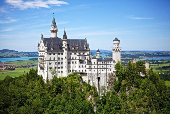 PHOTOWALL / Neuschwanstein Disney Castle (e310200)