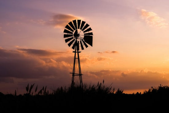 PHOTOWALL / Windmill Sunset (e310218)