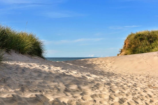 PHOTOWALL / Beach Sand (e310232)