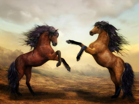 PHOTOWALL / Horses (e310256)