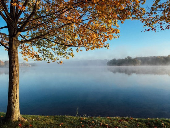 PHOTOWALL / Foggy Lake (e310302)