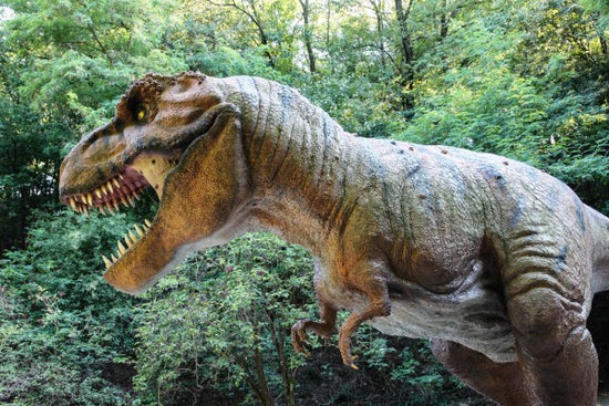 PHOTOWALL / Deadly Dinosaur (e310463)