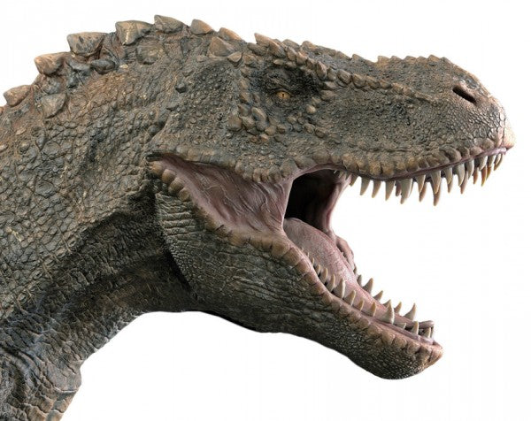 PHOTOWALL / T-Rex Dinosaur (e310464) | 輸入壁紙専門店 WALPA