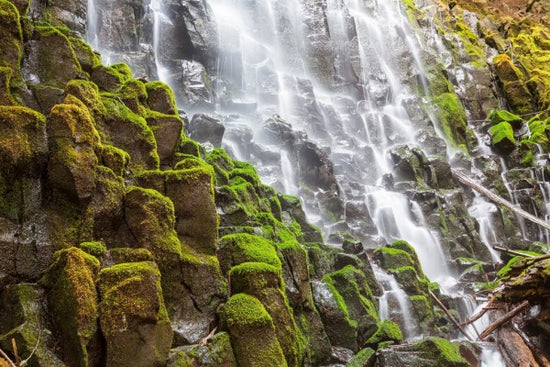 PHOTOWALL / Waterfall and Moss (e310484)