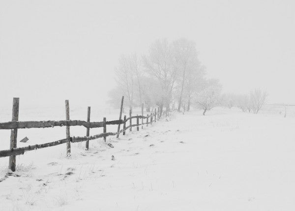 PHOTOWALL / Winter Snow (e310534)
