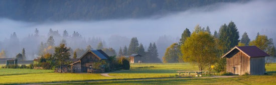 PHOTOWALL / Barn (e310550)