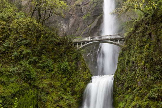 PHOTOWALL / Multnomah Falls (e310384)