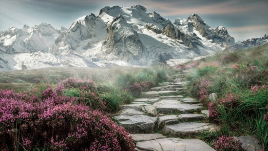 PHOTOWALL / Mountain Field Landscape (e310668)