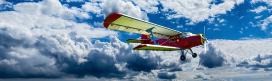 PHOTOWALL / Vintage Antonov (e310631)