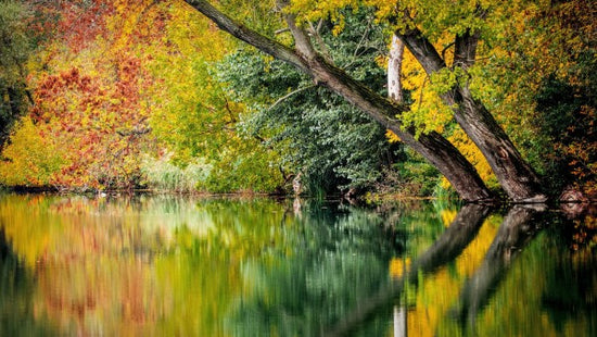 PHOTOWALL / Autumn Reflection (e310633)