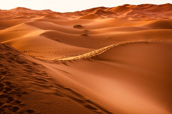 PHOTOWALL / Desert Sand Foot Prints (e310637)