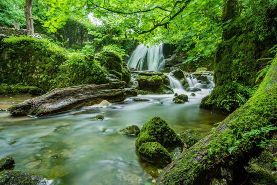 PHOTOWALL / Waterfall Stream (e310641)