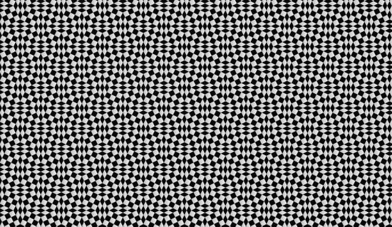 PHOTOWALL / Harlequin Masher (e310947)