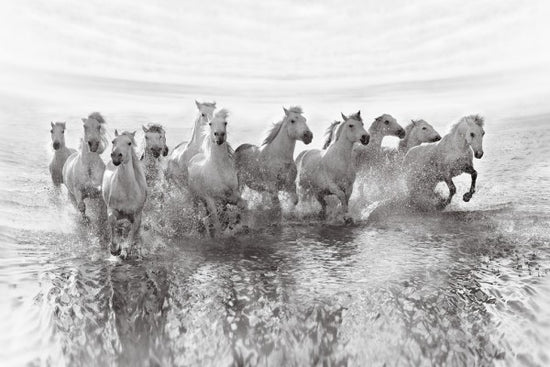 PHOTOWALL / Illusion of Power (13 horse power though) (e310978)