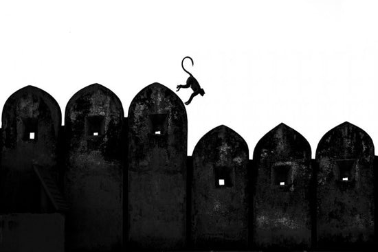 PHOTOWALL / Monkey (e311072)