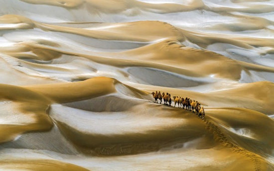PHOTOWALL / Desert Winter (e311115)
