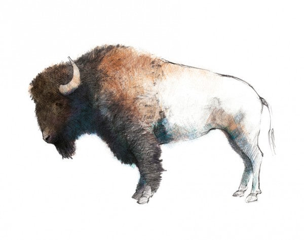 PHOTOWALL / Colorful Bison Dark Brown (e311145) | 輸入壁紙専門店