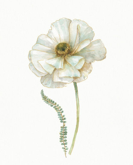 PHOTOWALL / My Greenhouse Single Poppy II (e311149)