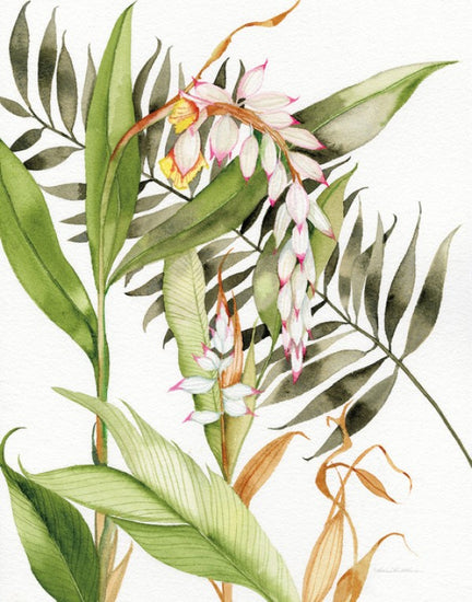 PHOTOWALL / Botanical Shell Ginger Crop (e311161)