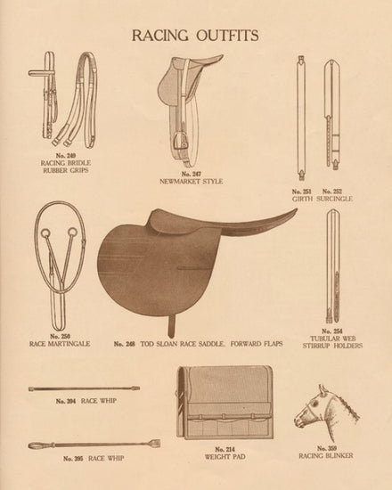 PHOTOWALL / Equine Riding Gear III v2 (e311233)