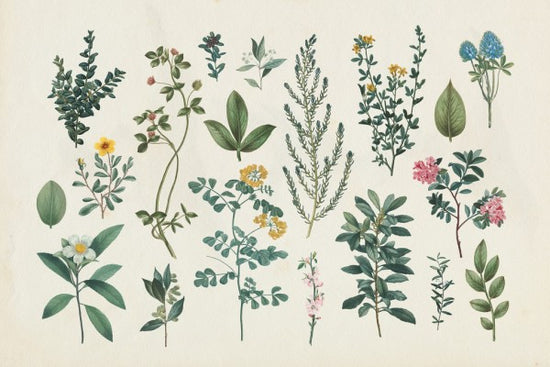 PHOTOWALL / Victorian Garden III (e311268)