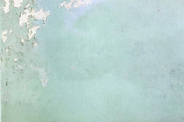 翠ページ ヘンティレッサ