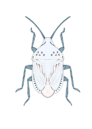 PHOTOWALL / Stinkfly (e41217)