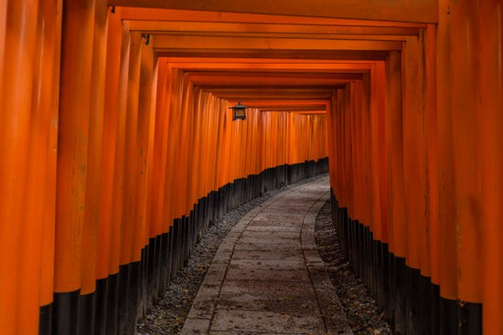 PHOTOWALL / Japan Tunnel (e312822)