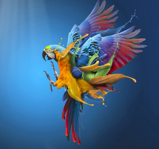 PHOTOWALL / Flying Colours (e312839)