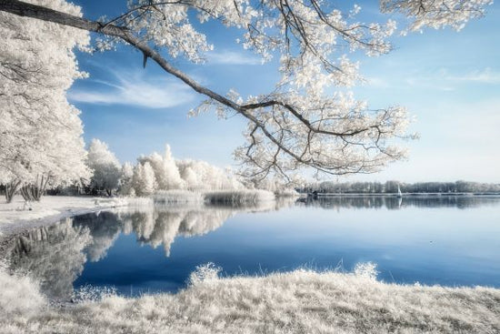 PHOTOWALL / Irenkowo (e312929)