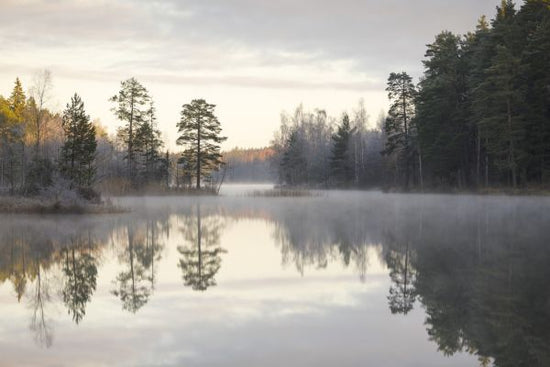 PHOTOWALL / Foggy Morning (e313019)