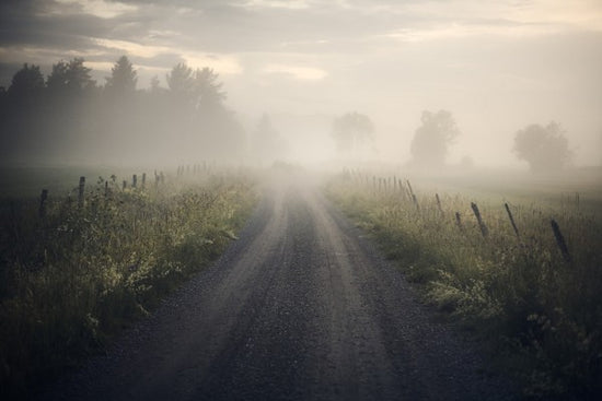 PHOTOWALL / Misty Rural Road (e313041)