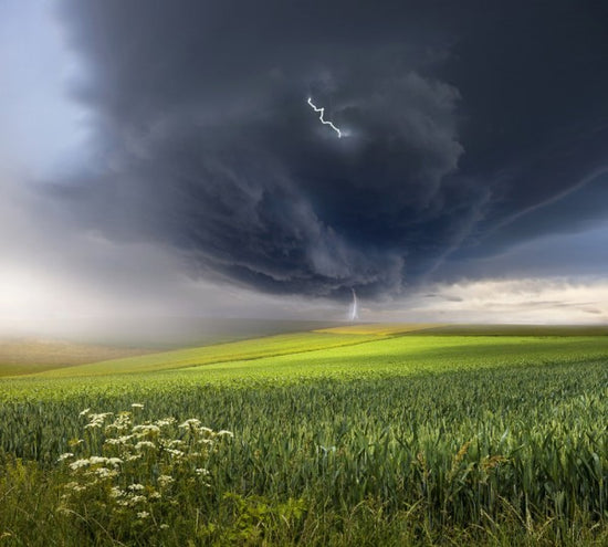 PHOTOWALL / June Storm (e312978)