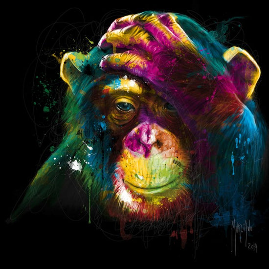 PHOTOWALL / The Darwin’s Preoccupations (e313183)