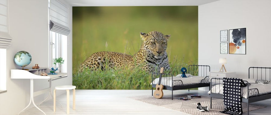 PHOTOWALL / Leopard (e313122)