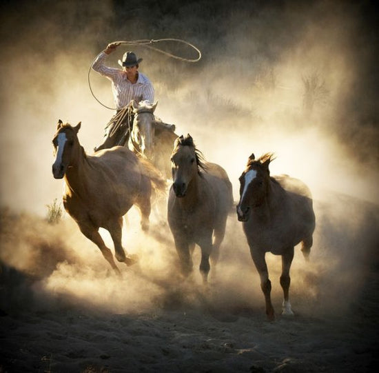 PHOTOWALL / Roundup (e313147)