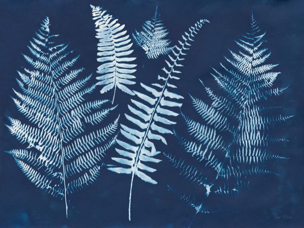 PHOTOWALL / Nature by the Lake - Ferns I (e313325) | 輸入
