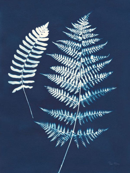 PHOTOWALL / Nature by the Lake - Ferns V (e313327)